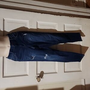 Astor Denim Distressed Skinny Jeans 7